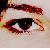 :iconmollygoodspeed: