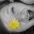 :iconmollylucille: