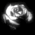 :iconmollyumpkins: