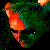 :iconmoloco: