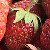 :iconmoltenapplepi: