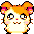 :iconmomanmomo: