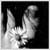:iconmomentcatcher: