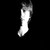 :iconmomentofillumination: