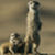 :iconmomentumphotography: