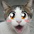 :iconmomiko24: