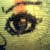 :iconmomion:
