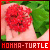 :iconmomma-turtle: