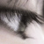 :iconmomo07: