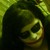 :iconmomogurl13: