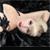 MomoiroMacabre :iconmomoiromacabre: