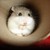 :iconmomoji22: