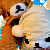 :iconmomokochi: