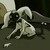 :iconmomomaster:
