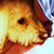 :iconmomopeaches94: