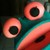 :iconmomotakama: