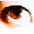 :iconmomsaidiwasspecial: