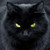 :iconmona-cornix: