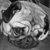 :iconmona-moo: