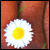 :iconmona1610: