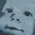 :iconmonadesign: