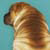 :iconmonart:
