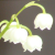 Monayu :iconmonayu:
