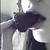 :iconmondaymaria: