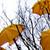 :iconmoney-penny: