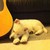 :iconmongobanana079:
