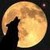 :iconmongrel-mutt: