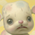 :iconmonica-quant: