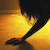 :iconmonicarose: