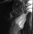 :iconmonicx: