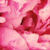 :iconMonikaygifts: