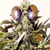 :iconmonk1: