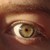:iconmonkeesfan: