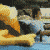 :iconmonkeybike: