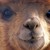 :iconmonkeyboy812: