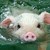 :iconmonkeydelic: