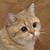 :iconmonkeylord112:
