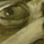 :iconmonkeyseemonkeydie: