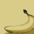 :iconMonkeyslunch: