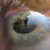 :iconMonochromeBlues:
