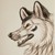 :iconmononokewolfspirit: