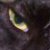 :iconMonoschizar: