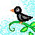 :iconmonotone-magpie: