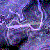 :iconmonozygotic: