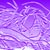 :iconmonsterfeet: