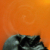 :iconmonsterfx: